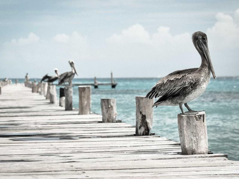 半窗疏影<br>ljvwvuu.cn 光影流年随笔